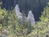 The Hoodoos