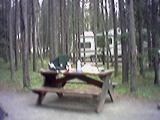 Waterfowl Lake Camp