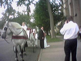 Wedding: Joe & Julie & Carrage