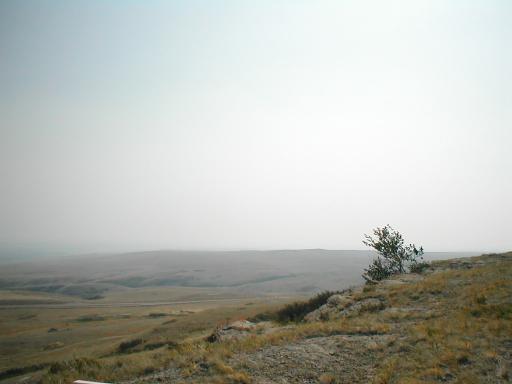 Head Smashed In Buffalo Jump