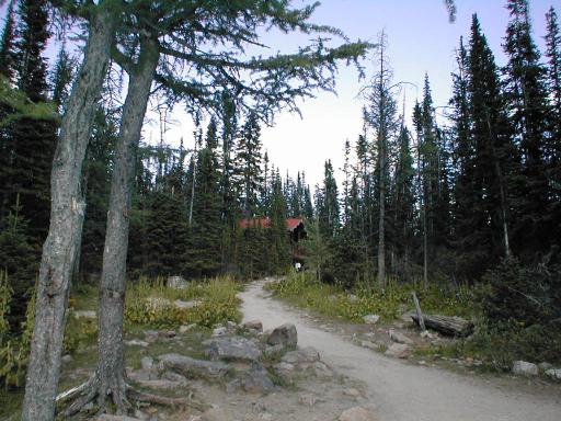 Six Glaciers Teahouse