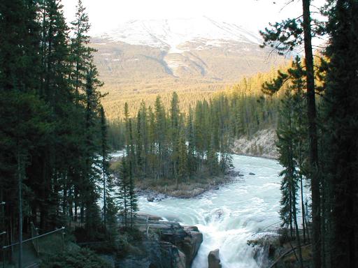 Sunwapta Falls