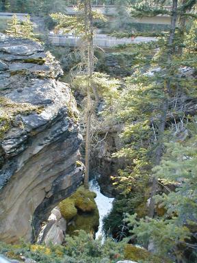 Athabasca Falls Bridges